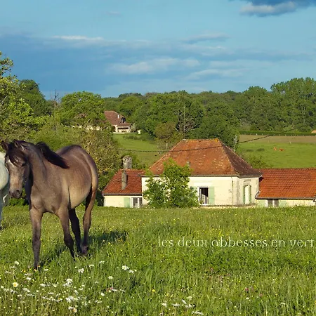 Les Deux Abbesses En Holiday home Mareuil-sur-Belle